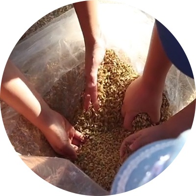 宇多津町のふるさと納税