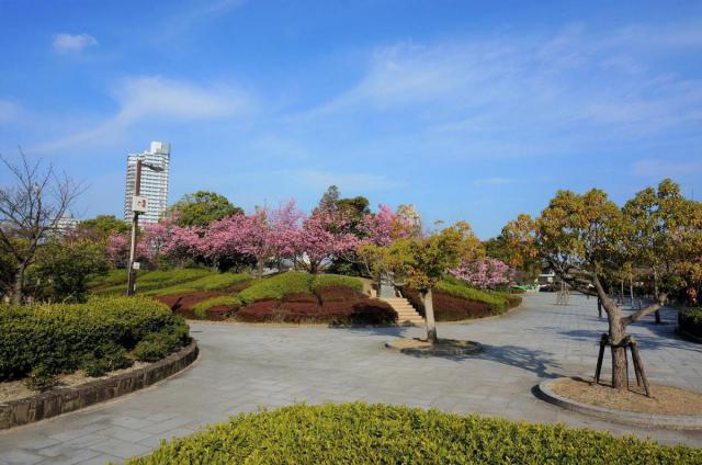 宇多津中央公園