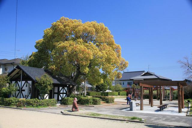 ゴリラ公園（6号公園）