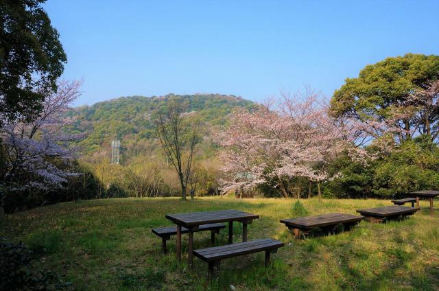 丸山さくら広場（創造の森）